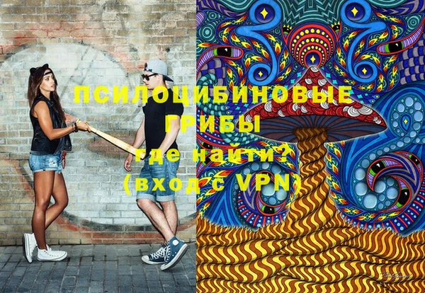 ПСИЛОЦИБИНОВЫЕ ГРИБЫ Алзамай