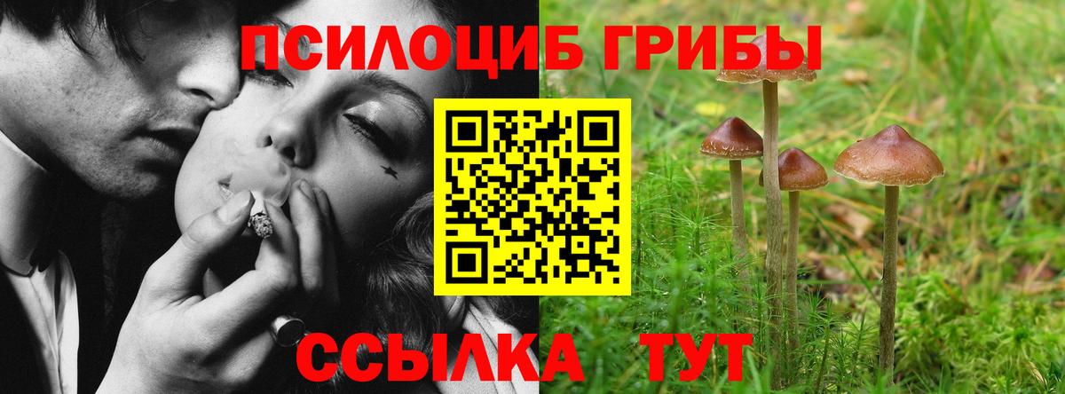 Калач-на-Дону  Псилоцибиновые грибы Psilocybe  Вход с VPN 